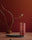 Performance: Cordyceps Capsules