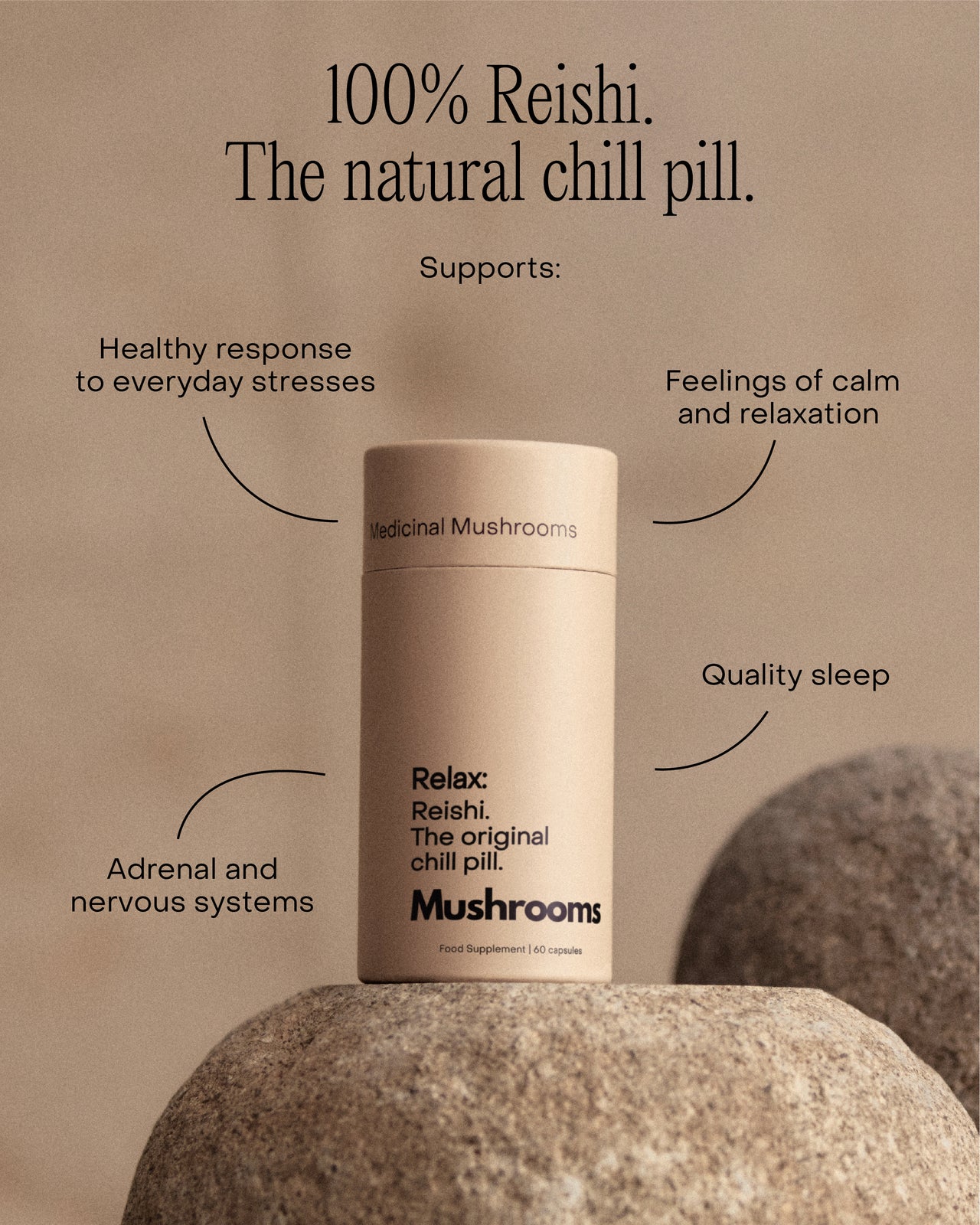The Mushroom Essentials Bundle
